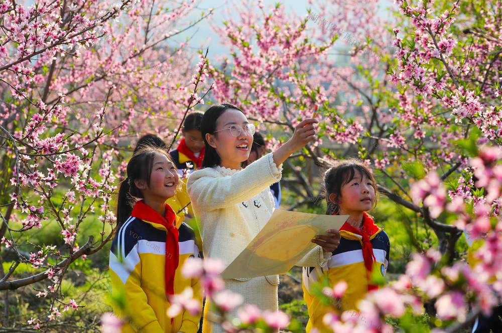 描绘  春天  研学  风光  学生