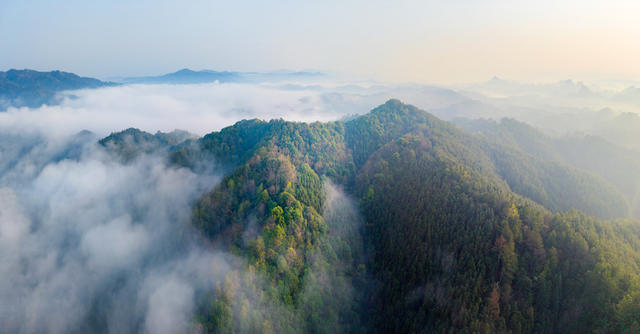 云海 山峰 山峦 雾气 森林 自然风光 云雾 山景 景观 绿色 唯美 仙境 远山 生态 清新 空气 树林 山雾 森林云雾 自然 树木 植被  风景 碳汇林 清晨 森林清晨 山林清晨 晨雾 环境 自然美