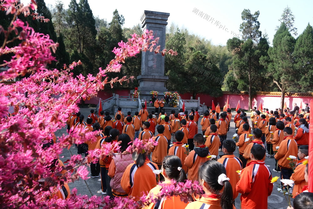 清明祭扫 缅怀先烈