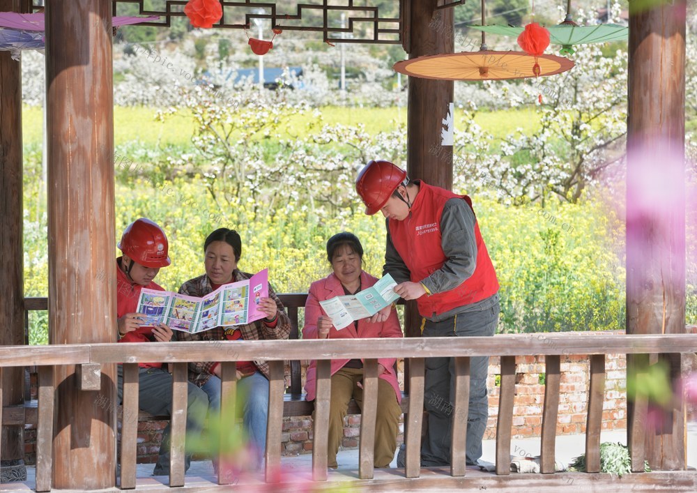 线路特巡 保供电