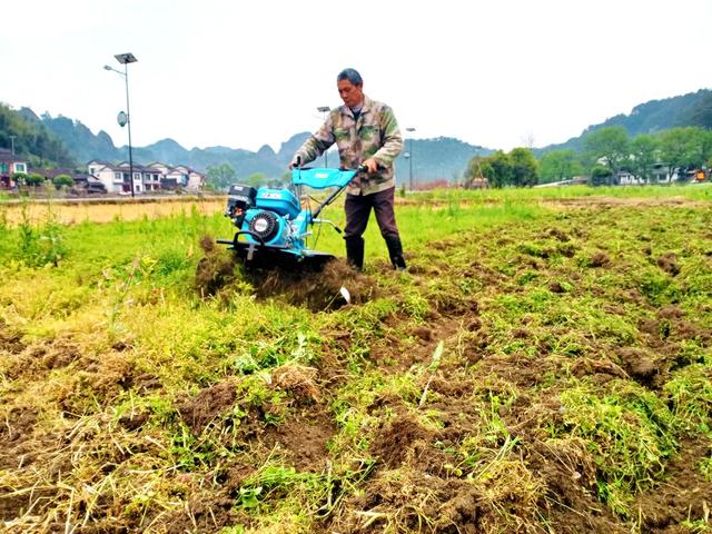秧田 翻耕 增收