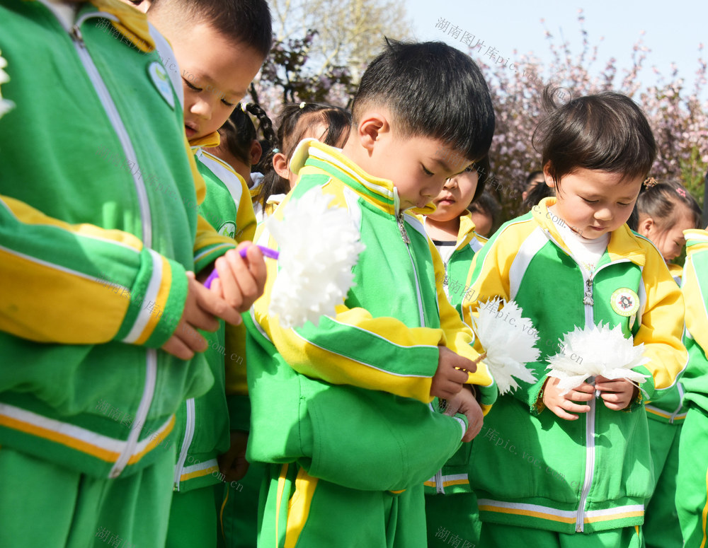 清明节  革命烈士  学生  公祭活动