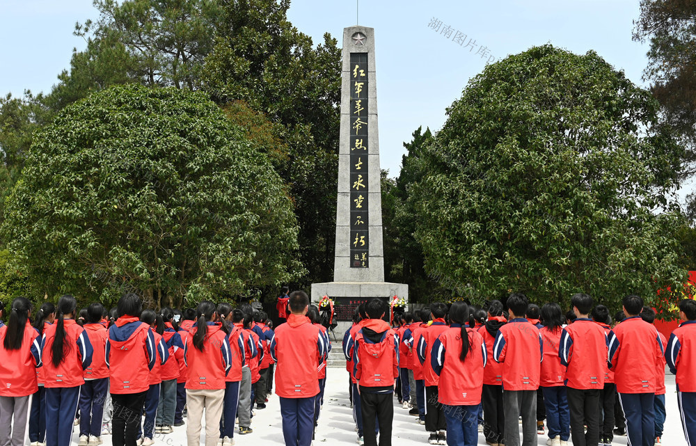 清明节，祭扫，缅怀，先烈，红军，烈士，纪念碑，学校，学生，哀思，寄托