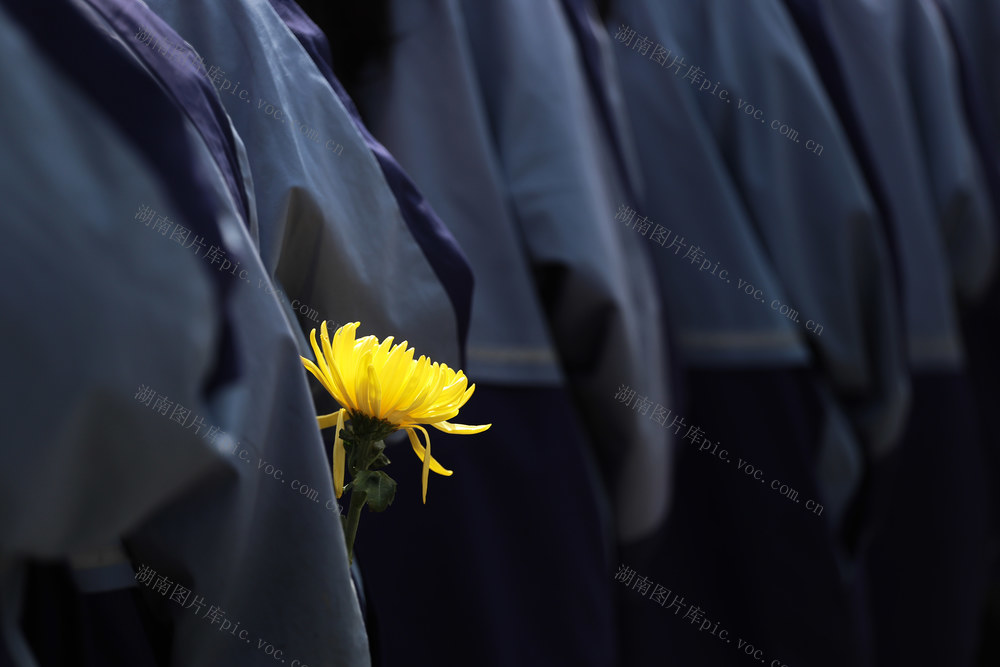 清明 先烈 爱国主义教育