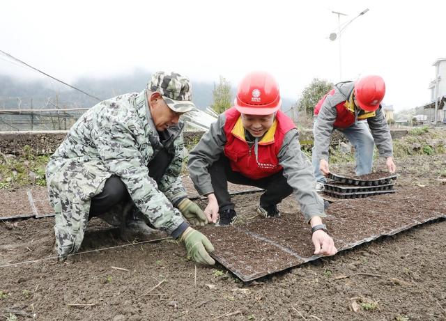 春耕正当时   党员来助力