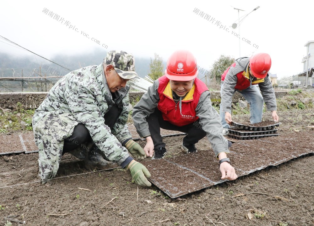 春耕正当时   党员来助力