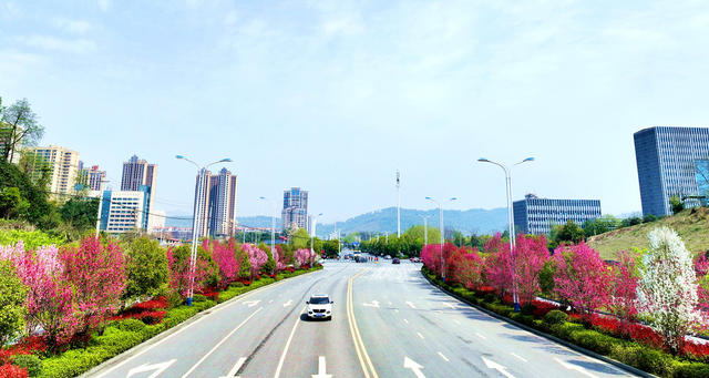道路，城市，风景线，道路绿化，城市环境