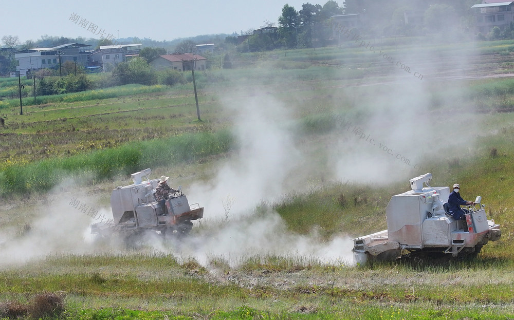土壤  改良  提质增效  粮食生产 
 调酸  耕地