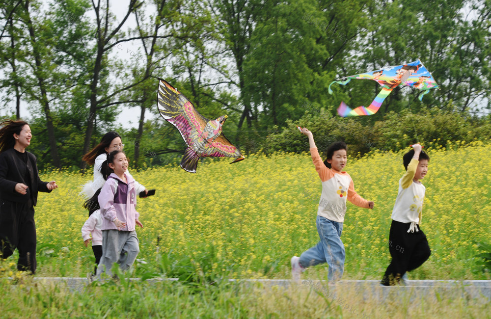 嘉禾：踏青游玩 乐享假期