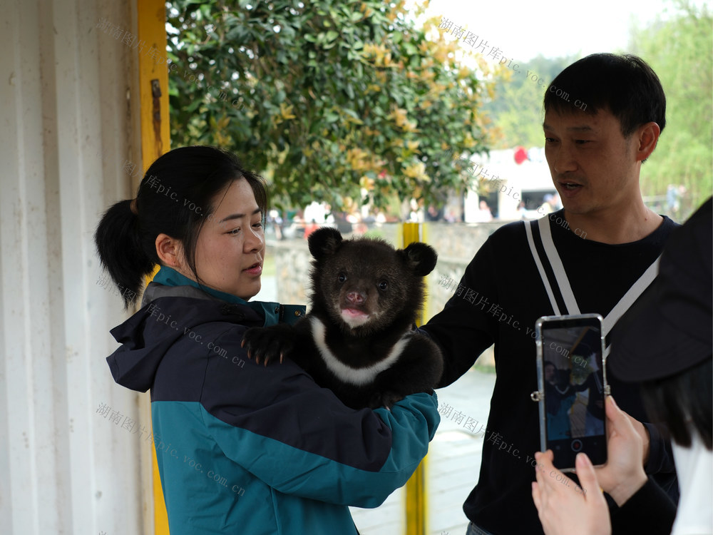 新生小黑熊首次亮相