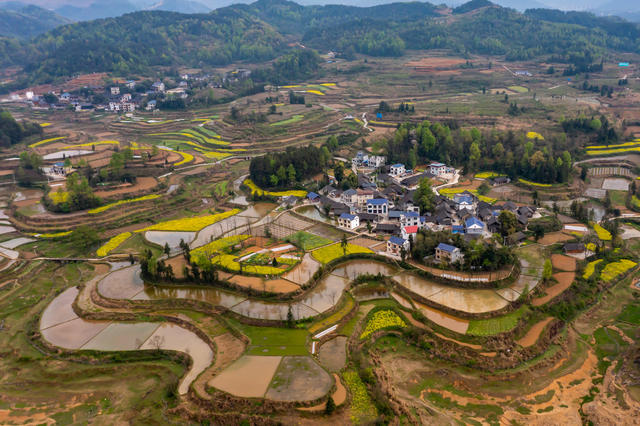 花垣  田园  梯田  油菜花  春天