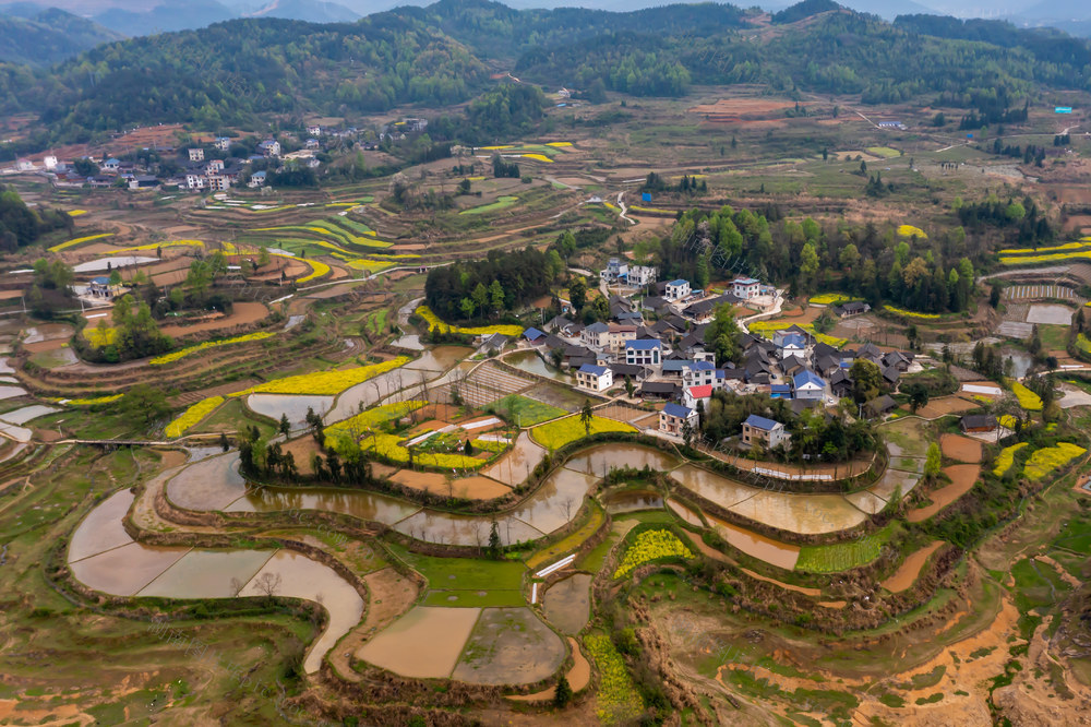 花垣  田园  梯田  油菜花  春天