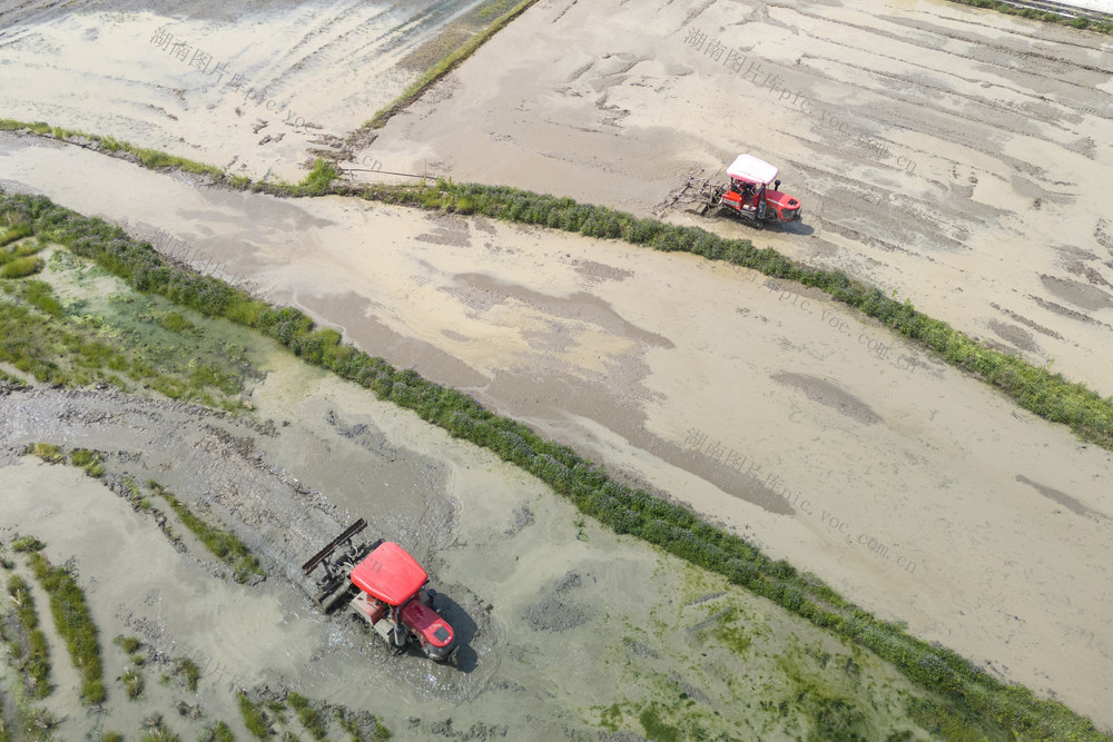 娄底 清明 农时 春耕