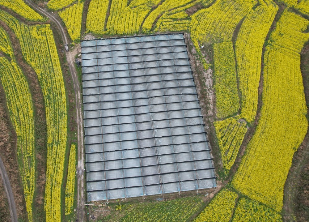   生态农业美乡村