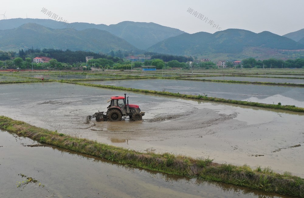 农忙  耕田  农机  春耕  蓝山  