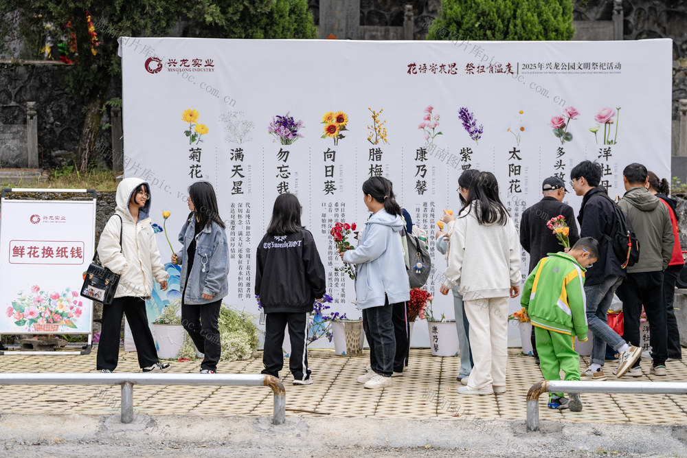 清明节 清明家书 兴龙陵园