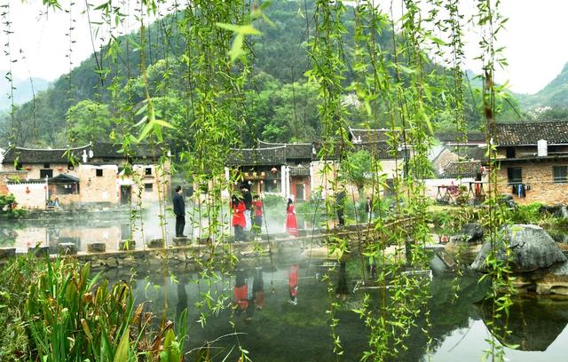 清明假期  踏青赏花