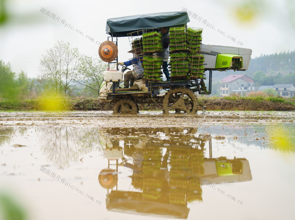 春耕生产 早稻移栽 农机