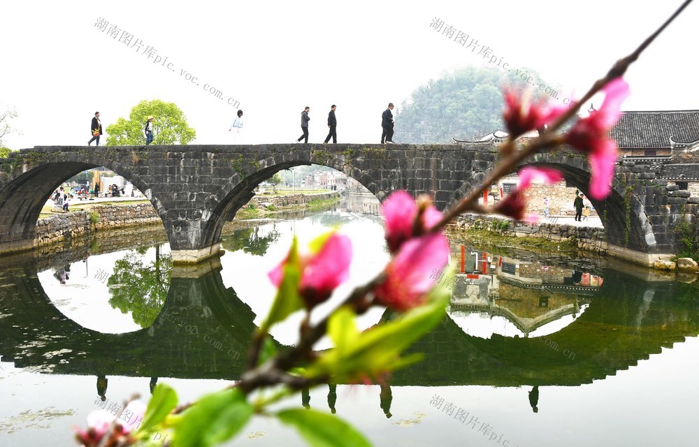 清明假期   乐享春光