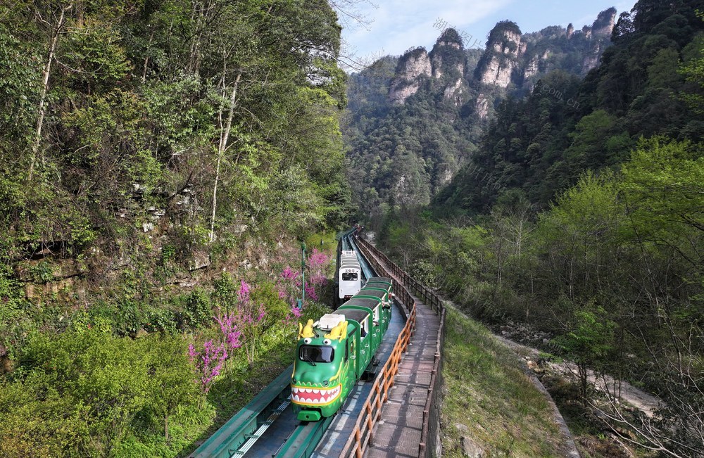 清明 假期 张家界