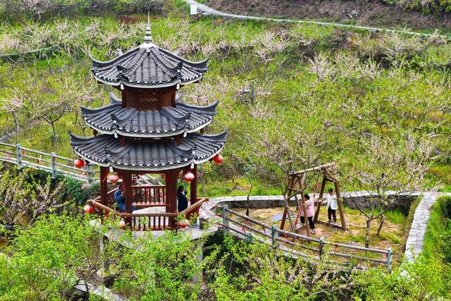 春天、春花、乡村、侗寨、村庄