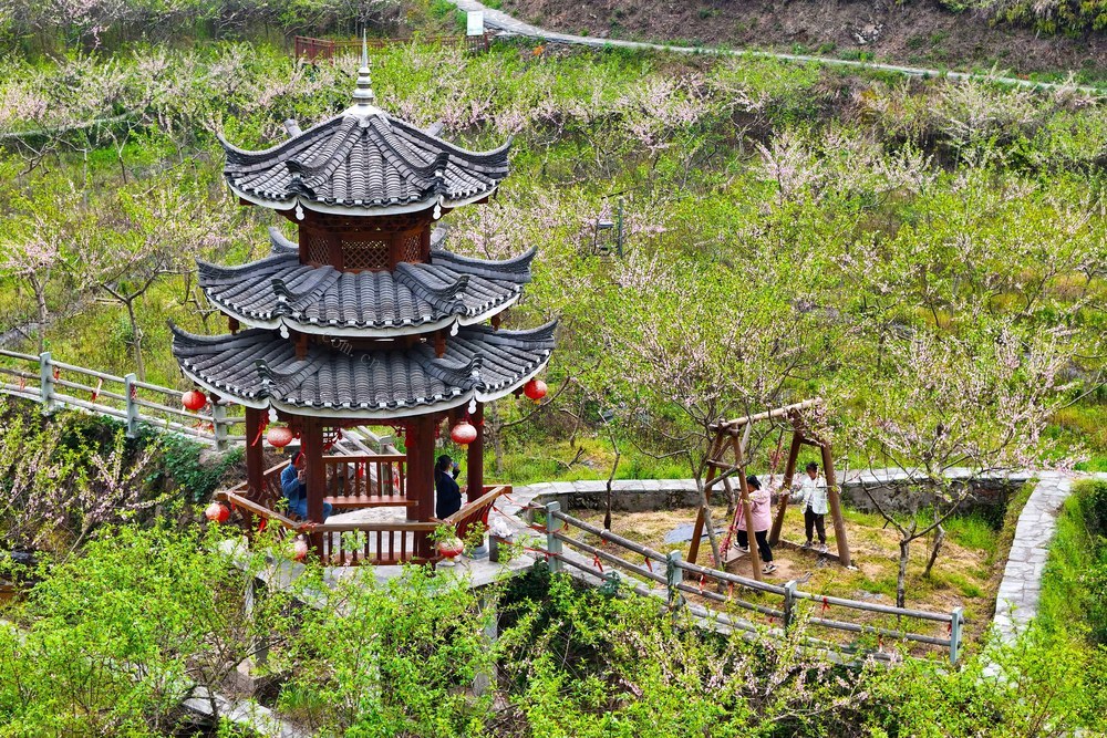 春天、春花、乡村、侗寨、村庄