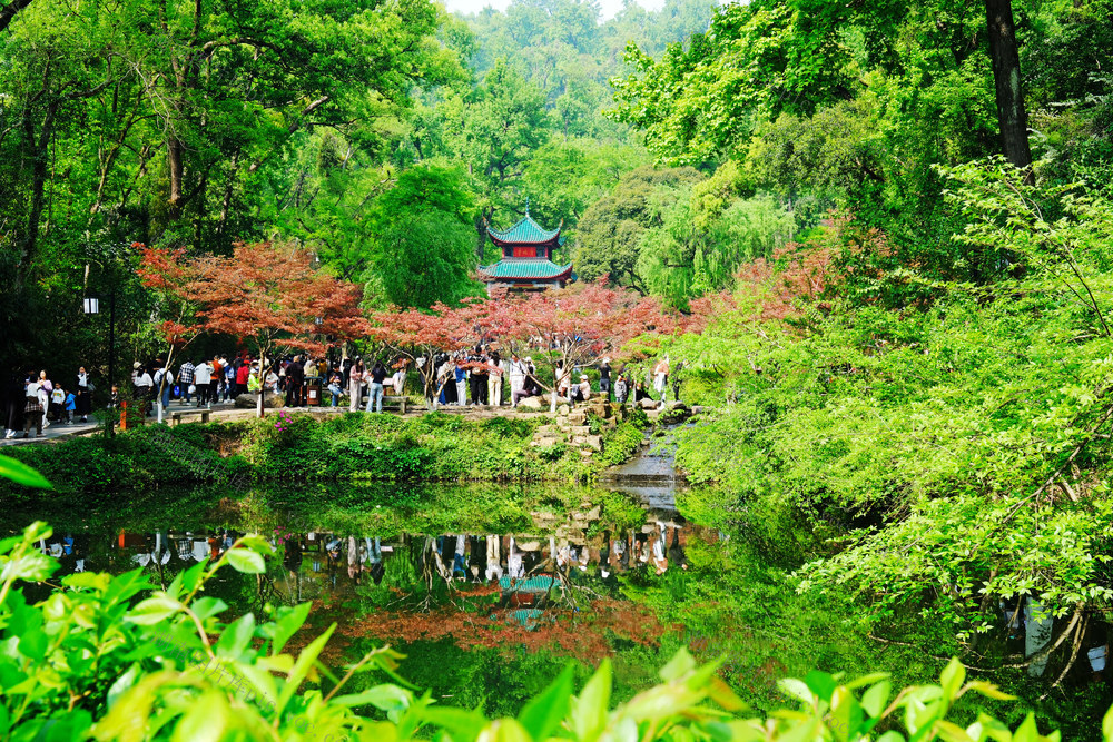 岳麓山，爱晚亭