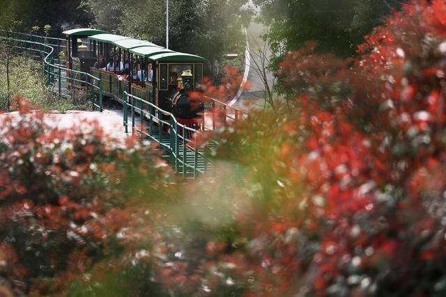 清明 假日 旅游 怀化