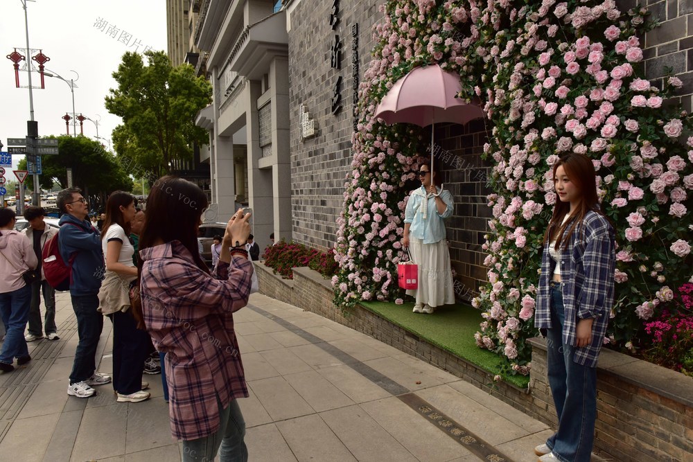 清明节 旅游  长沙  假日经济