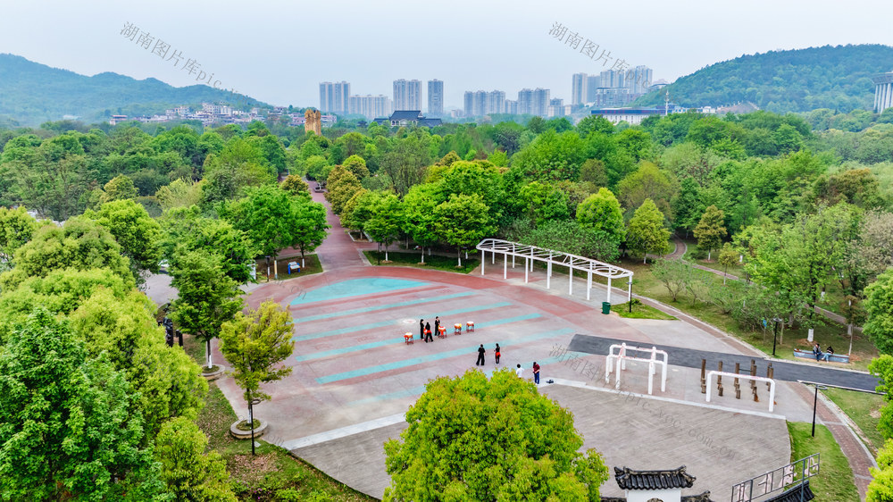 湿地公园  风景如画