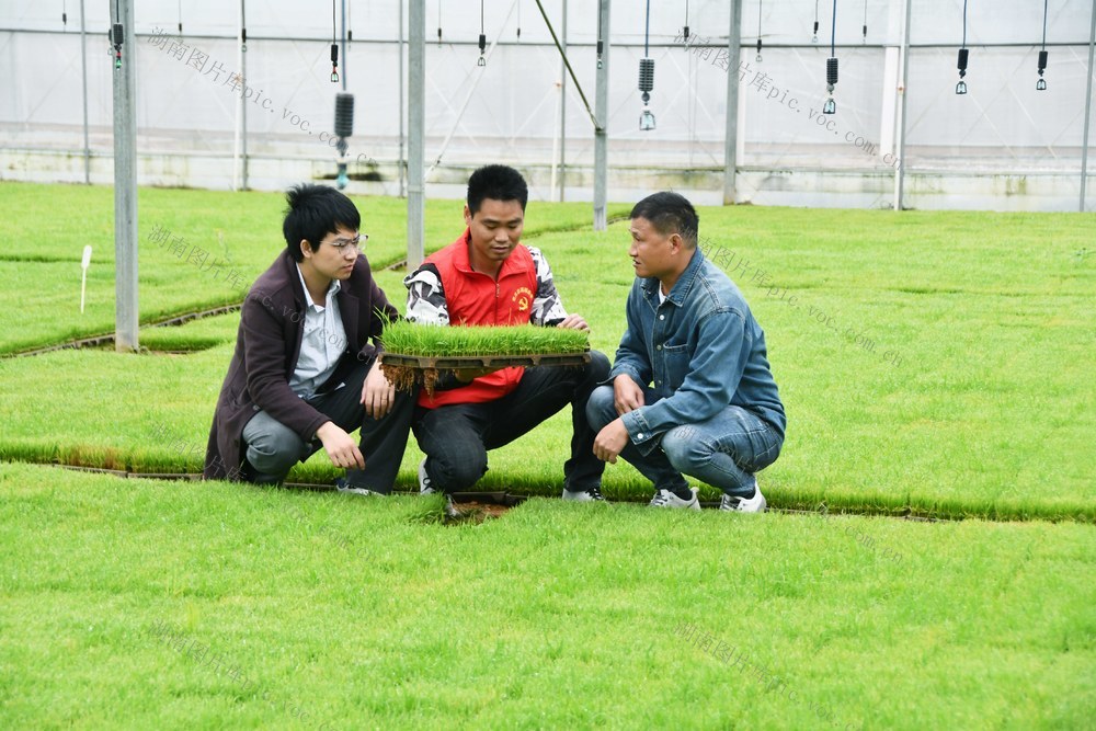 农技人员服务一线