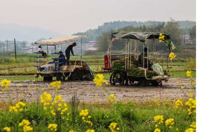 培训高素质农民  助力现代农业推广