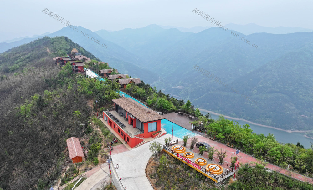 茶园 旅游 民宿