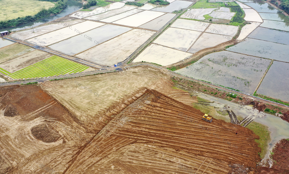 农业产业 高标准农田 春耕备耕 助农增收 乡村振兴