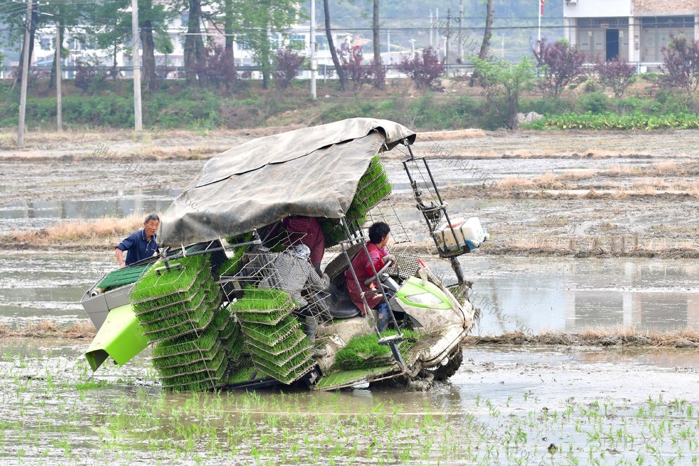 建议  深脚泥田  高标准农田  改造  粮食生产