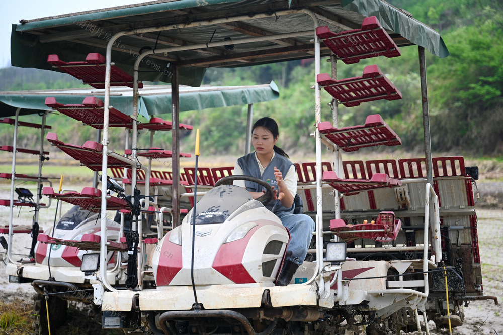 新农人 春耕 农业 农机 合作社 插秧 生产 机械化 智慧农业