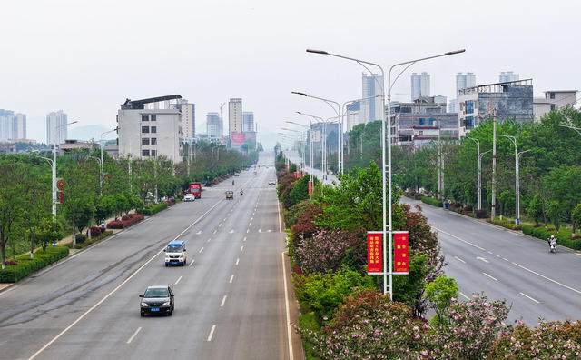公路  绿化  城市  建设
