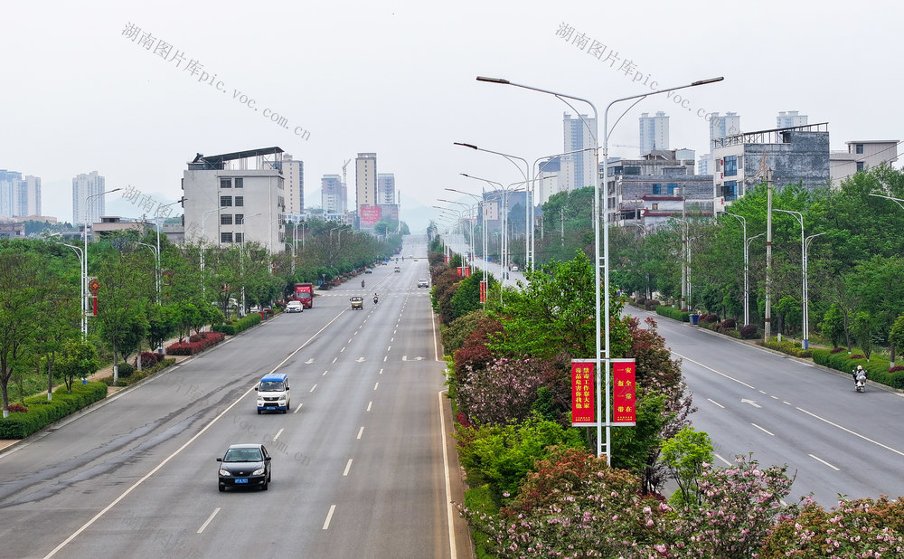 公路  绿化  城市  建设