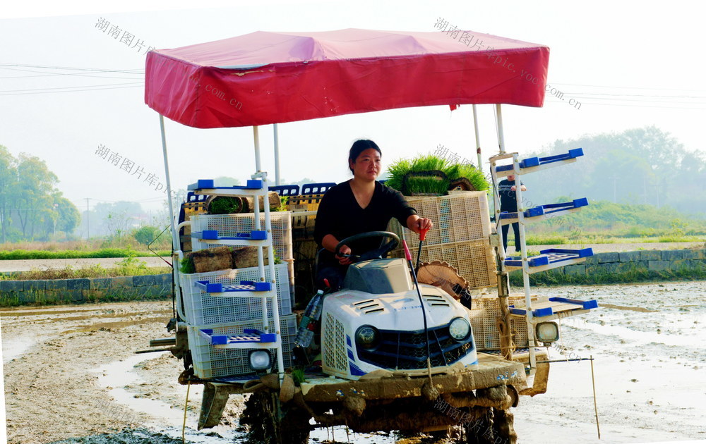 妇女口农事口半边天