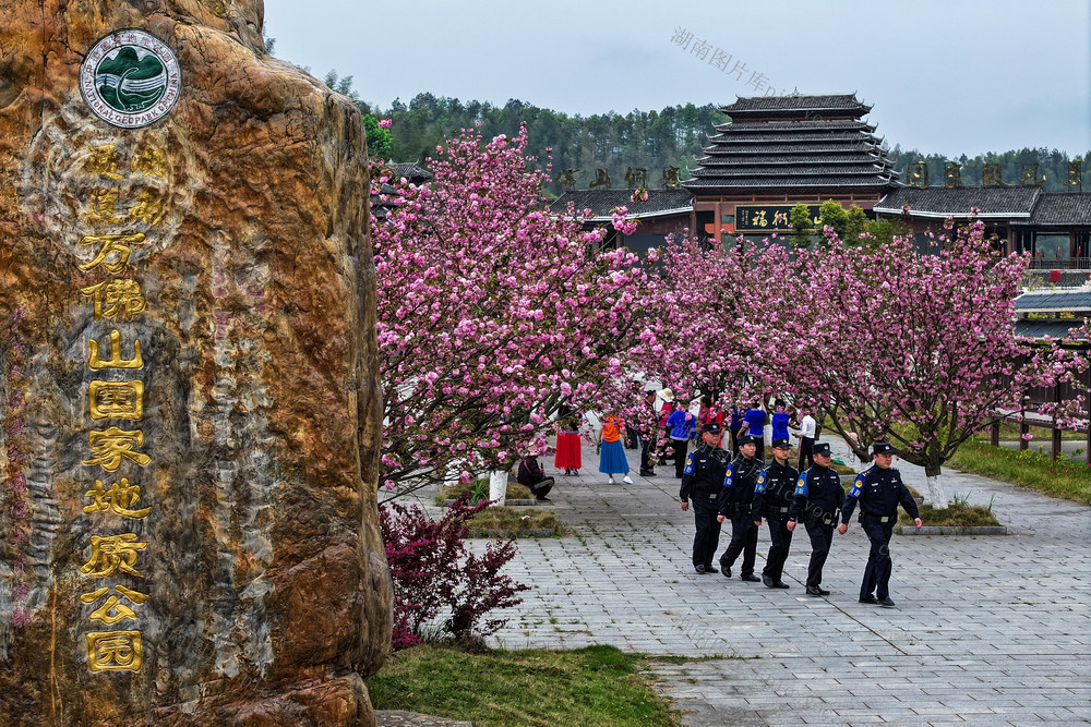 旅游警务 警察 巡逻 花海 景区