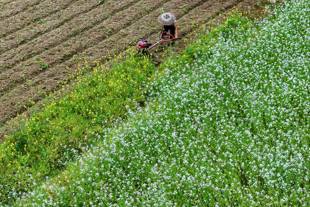 农机 春耕 花海 田 耕地