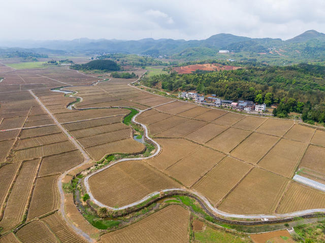 高标准农田 乡村振兴