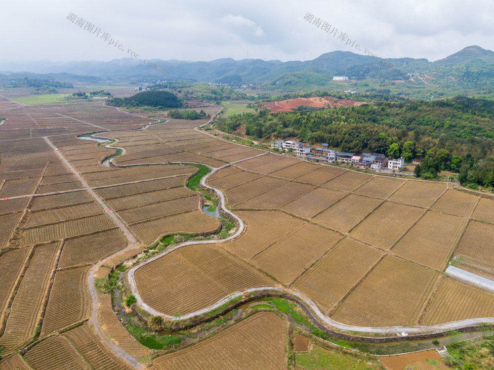 高标准农田 乡村振兴