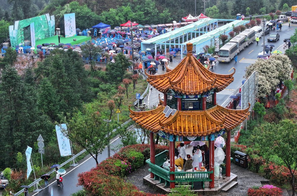 湖南郴州 “茶王” 技能大赛 桂东“茶文化” 旅游