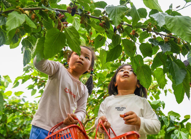 乡村旅游
道县