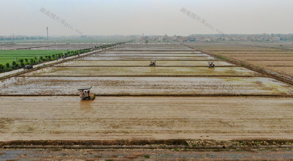 春耕生产 春耕 木塘垸