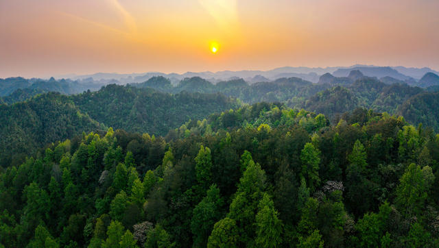 日出 山峦 云雾 森林 自然风光 绿色 山景 树木 远山 环境保护 生态 薄雾 晨曦 朝阳 旭日 植被 山顶 景观 湖南通道 丹霞山 山川 青山 春色 山林 自然 风景 
