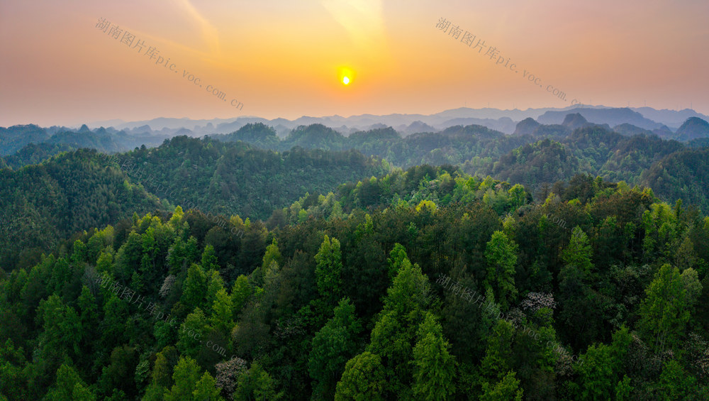 日出 山峦 云雾 森林 自然风光 绿色 山景 树木 远山 环境保护 生态 薄雾 晨曦 朝阳 旭日 植被 山顶 景观 湖南通道 丹霞山 山川 青山 春色 山林 自然 风景 