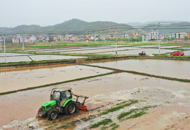 嘉禾：春耕正当时  农民生产忙