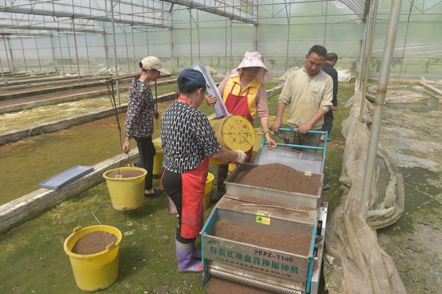 育秧  水稻扩种